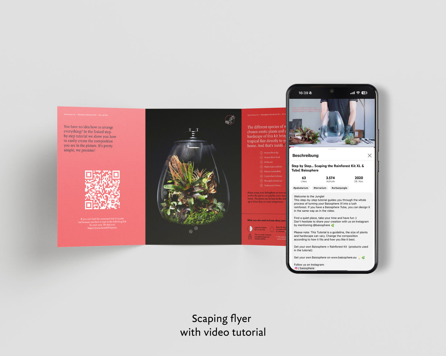 Scaping set - rainforest