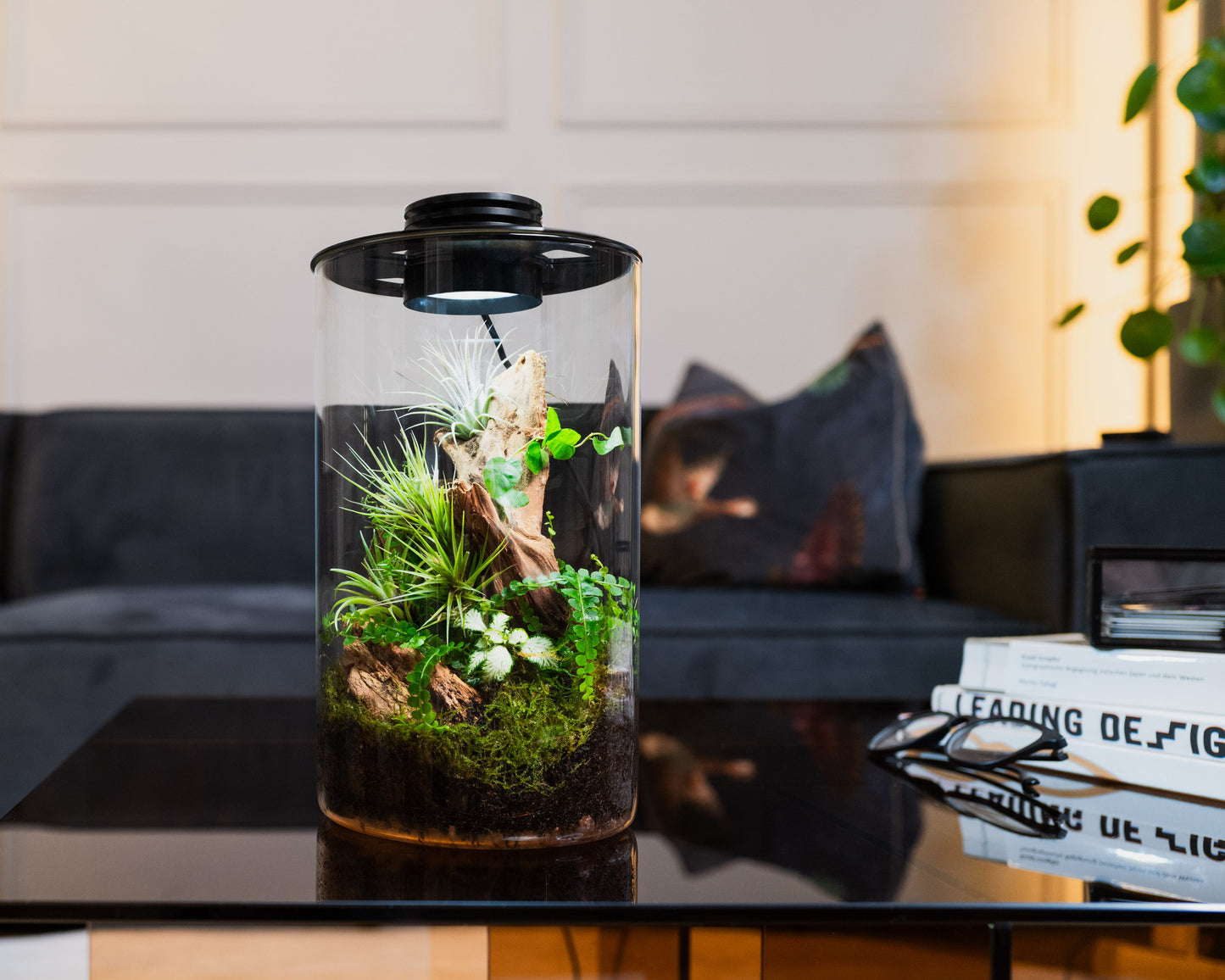 Rainforest plant set