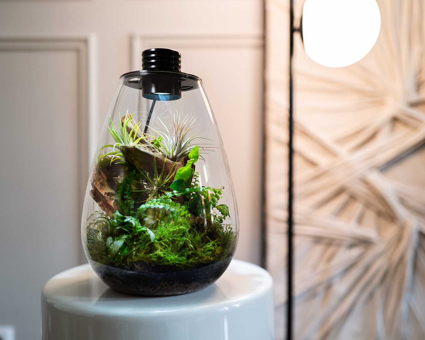 Baiosphere Mini