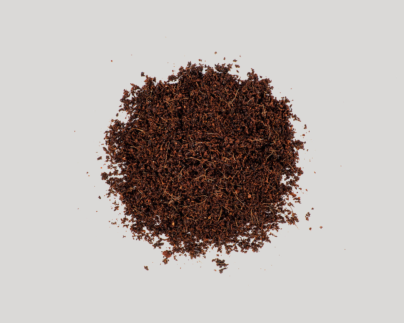 Baiosphere rainforets soil