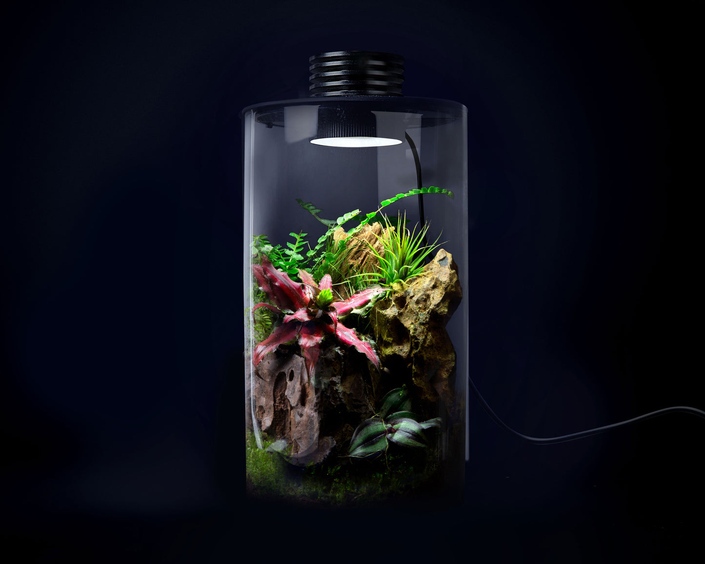 Baiosphere Mini Tube in black scaped 