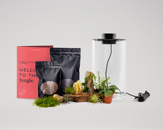 Baiosphere rainforest bundle with Baiosphere Mini Tube in black