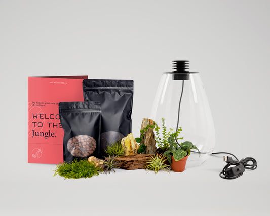 Baiosphere rainforest bundle with Baiosphere Mini in black