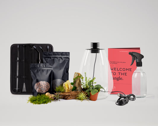 Baiosphere Mini All-in-one bundle with black Baiosphere and black scaping tools set