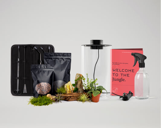 Baiosphere Mini Tube All-in-one bundle with black Baiosphere and black scaping tools set