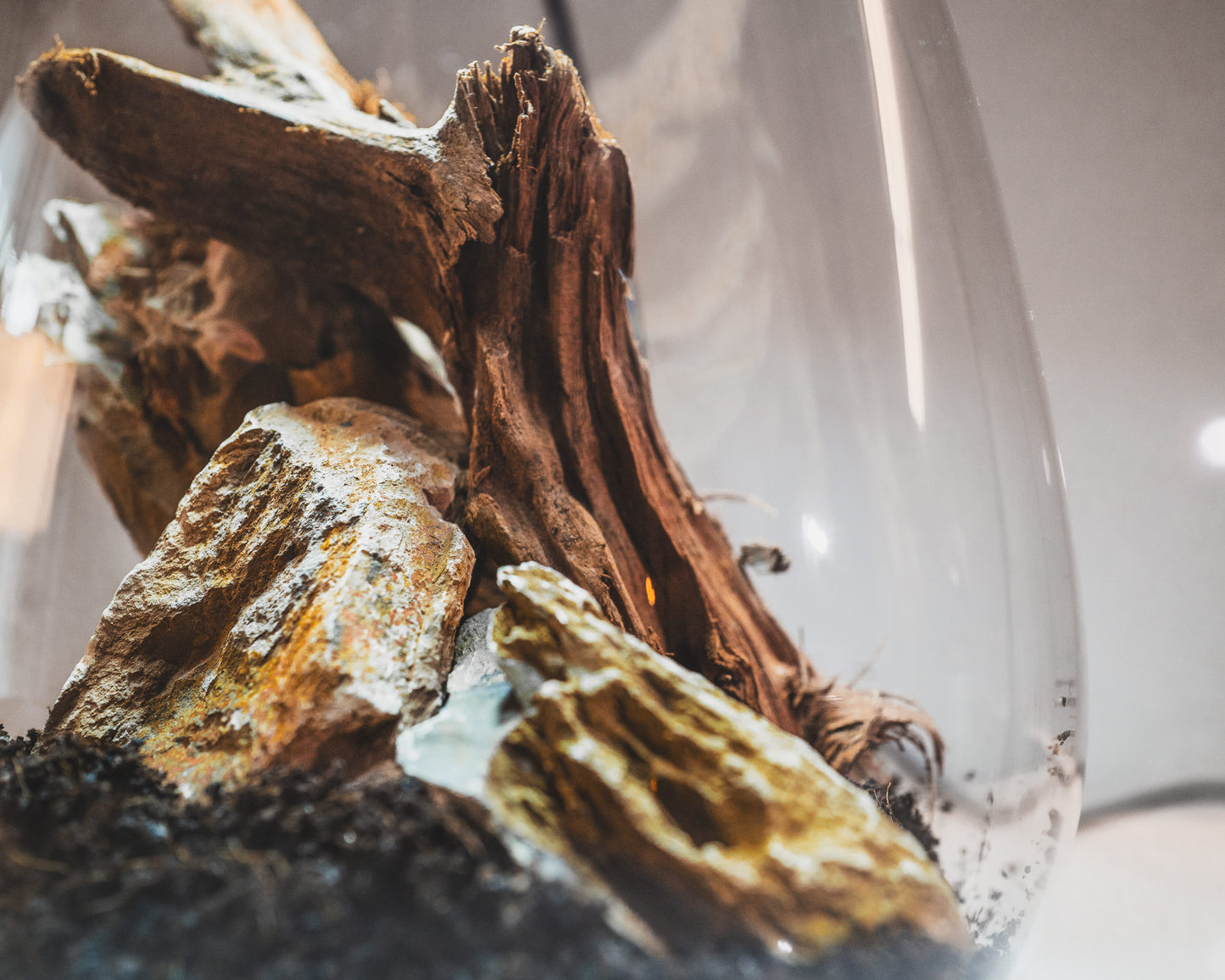 Rainforest hardscape set