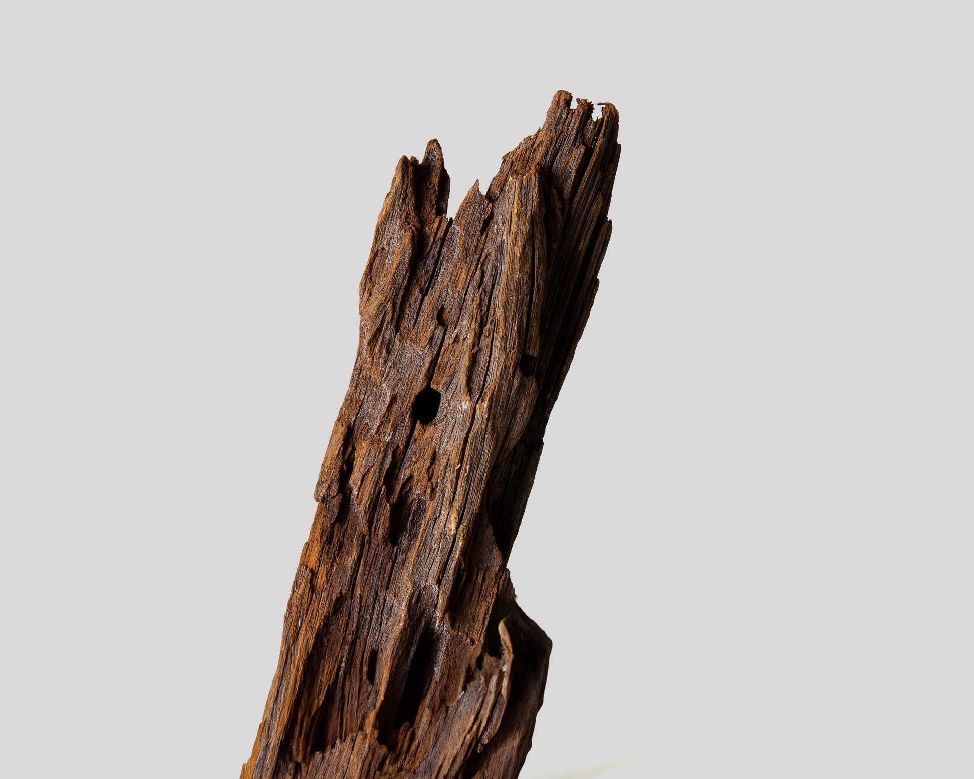 Close up of driftwood hardscape for aquariums and terrariums 