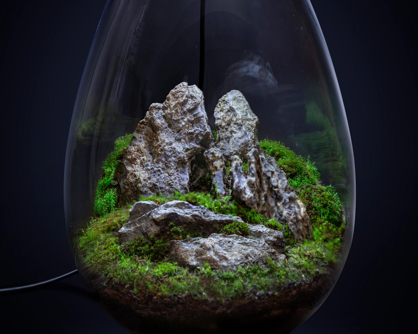 Close up of suiseki landscape