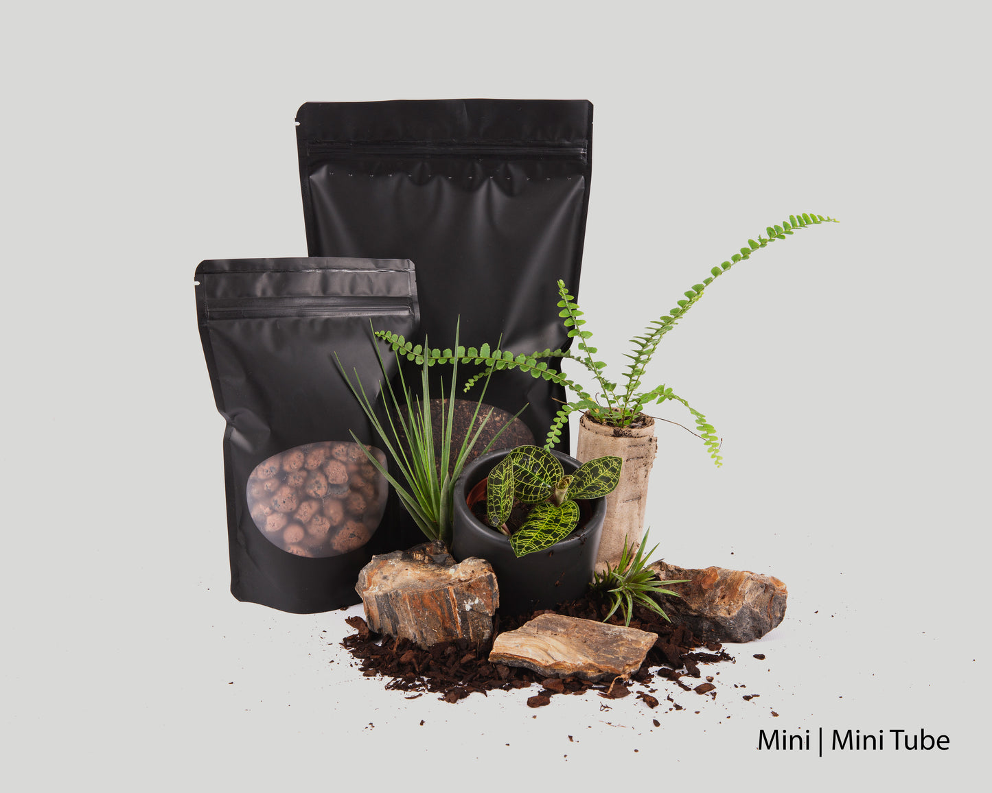 Baiosphere Jewel orchid scaping set for Baiosphere Mini and Mini Tube