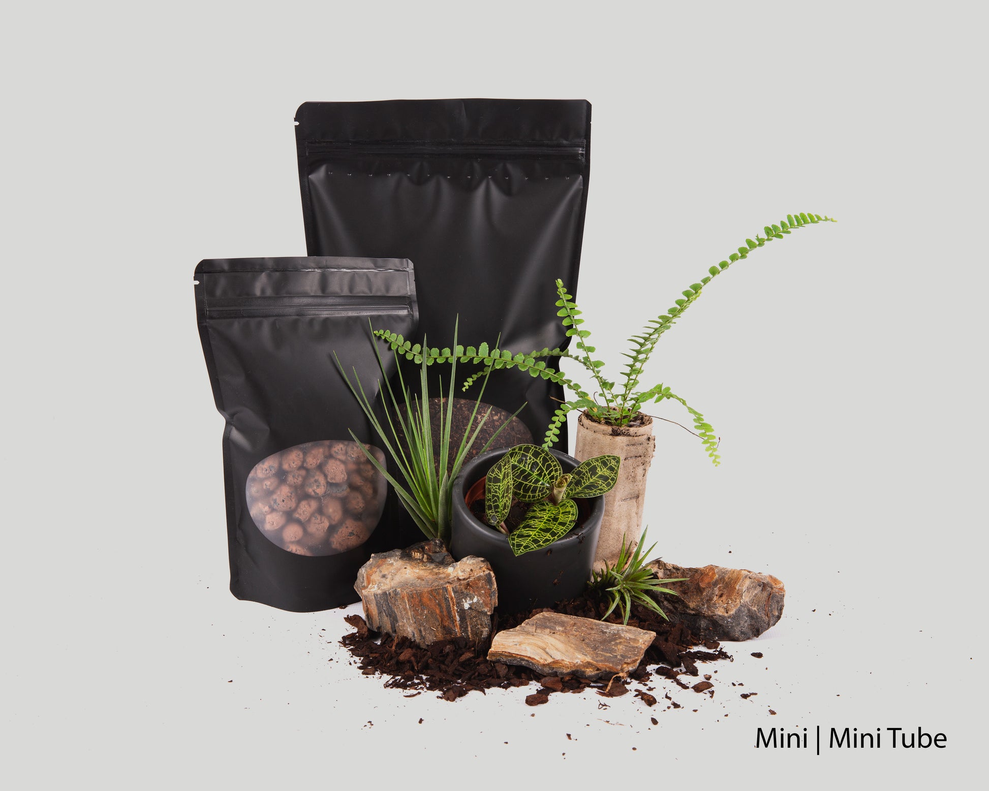 Baiosphere Jewel orchid scaping set for Baiosphere Mini and Mini Tube