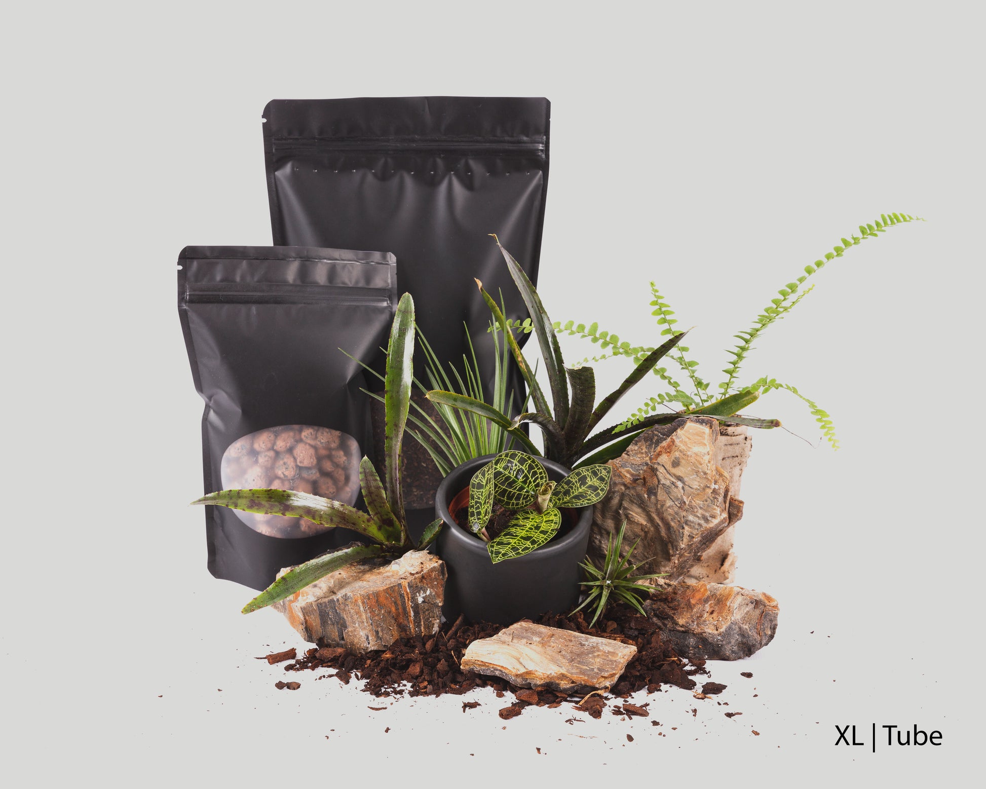 Baiosphere Jewel orchid scaping set for Baiosphere XL and Tube