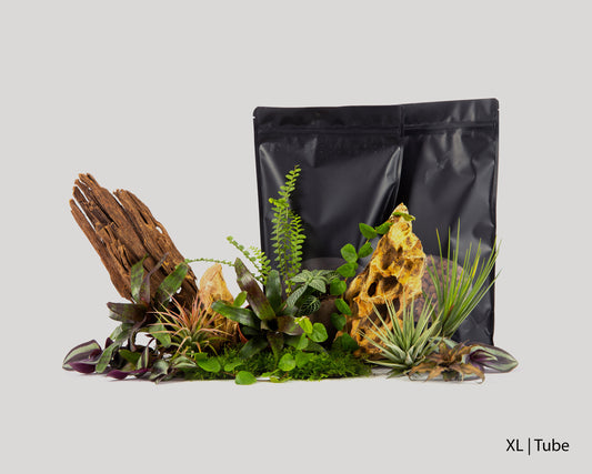 Scaping set - rainforest