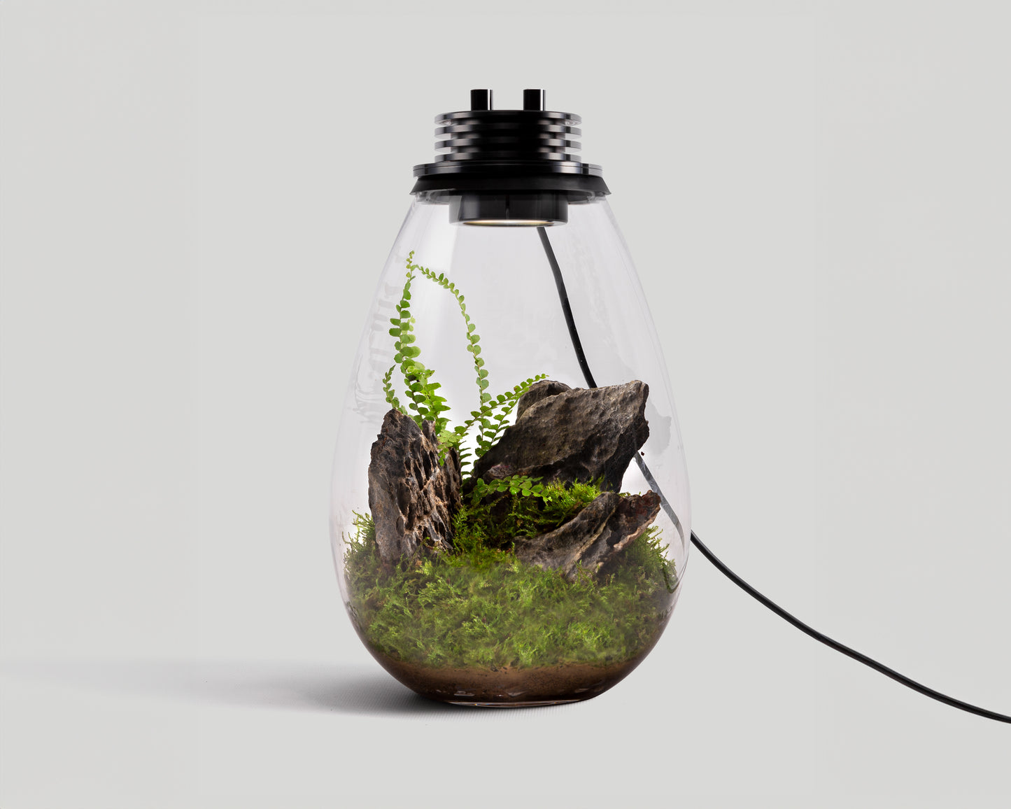 Scaped Baiosphere Original with suiseki landscape