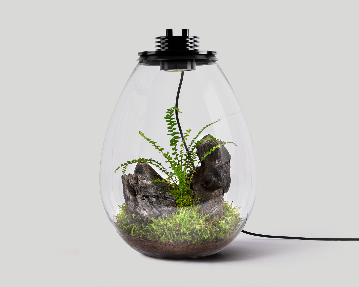 Scaped Baiosphere XL with suiseki landscape