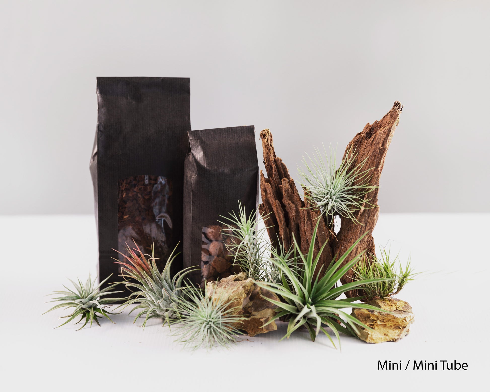 Baiosphere Tillandsia scaping set for Baiosphere Mini and Mini Tube