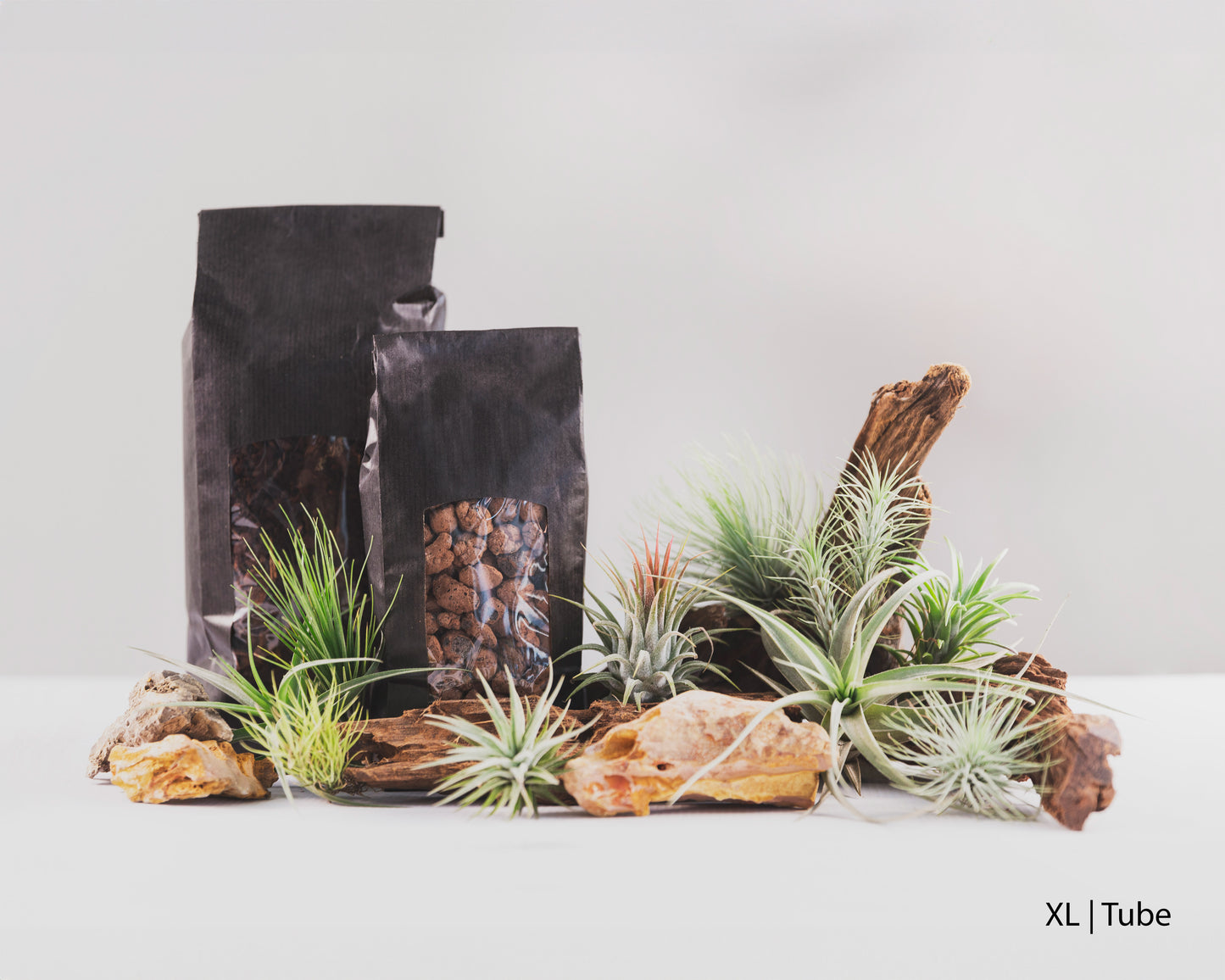 Baiosphere Tillandsia scaping set for Baiosphere XL and Tube