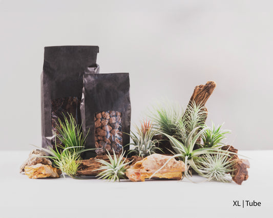 Baiosphere Tillandsia scaping set for Baiosphere XL and Tube