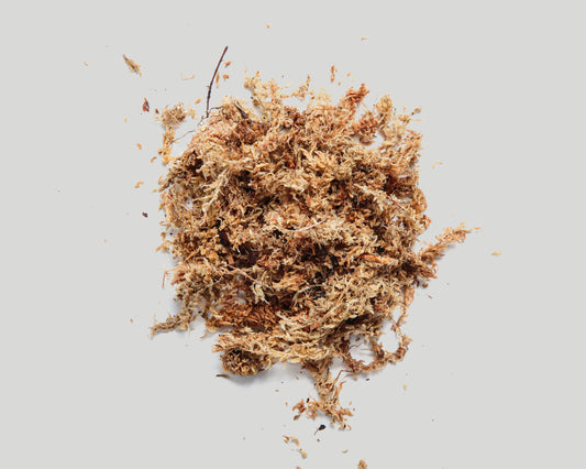 Sphagnum moss - 0.5 L